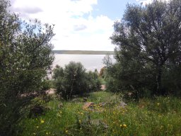 Flora del Cerro Masatrigo